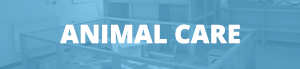 Animal Care