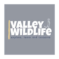 Valley Wildlife