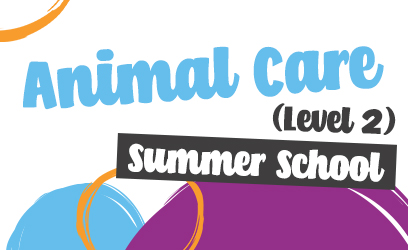 Summer School: Animal care (Level 2) - West Notts College