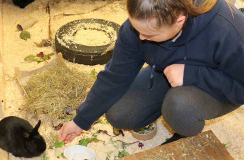 Students can learn in a dedicated animal care unit based on our Derby Road campus.