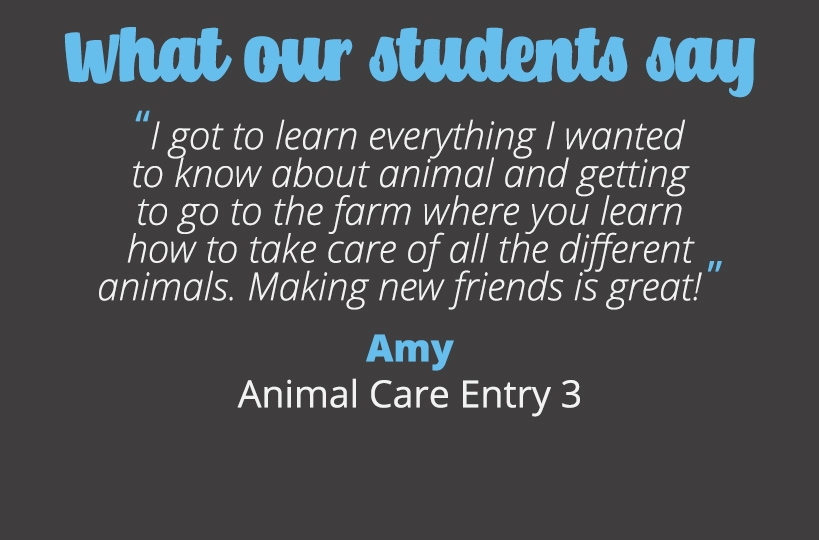 I got to learn everything I wanted to know about animals and getting to go to the farm where you learn how to take care of all the different animals. Making new friends is great! – Amy.