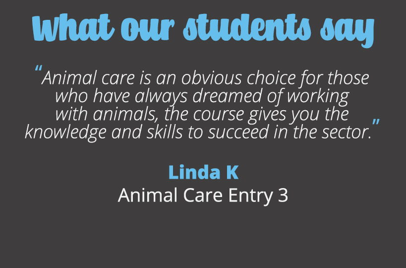 Animal care is an obvious choice for those who have always dreamed of working with animals, the course gives you the knowledge and skills to succeed in the sector – Linda K.