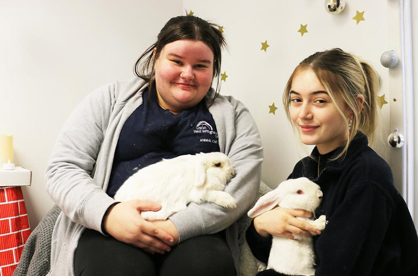 Youngsters joined WNC animal care unit for some fundraising and festive cheer in December 2022, while discovering how the students care for its diverse range of creatures.
