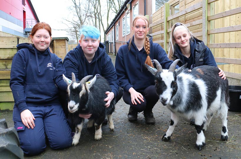 Two new kids at college are settling into their environment well, meet Jerry and Galaxy our male pygmy goats. 