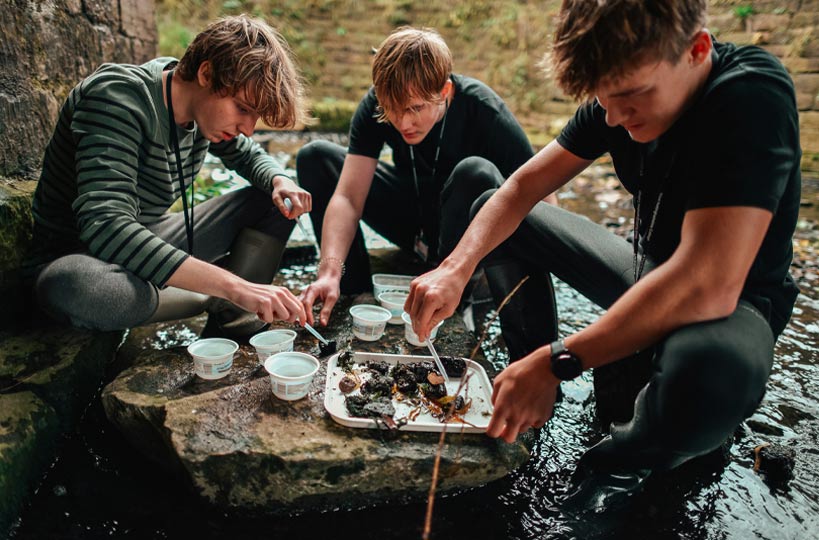 Our students are getting stuck in, surveying freshwater invertebrates.