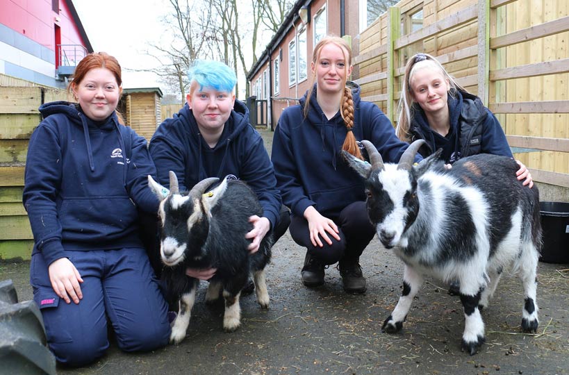 Two new kids at college are settling into their environment well, meet Jerry and Galaxy our male pygmy goats.