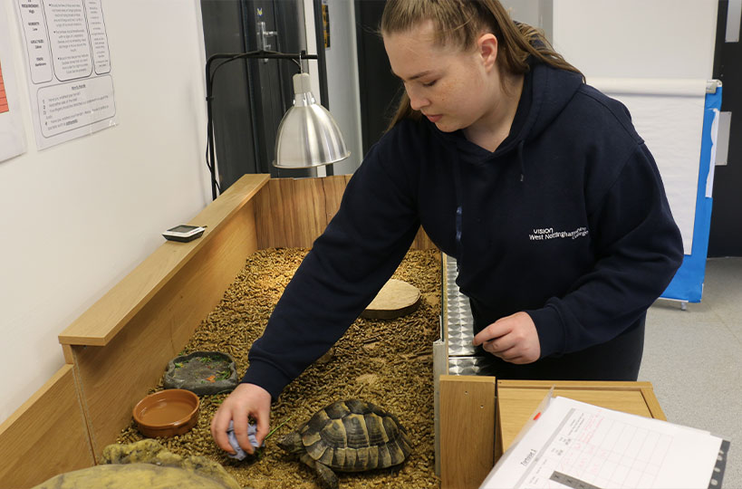 Students work closely with a variety of animals, understanding their behavioural habits, and learning about feeding and care.