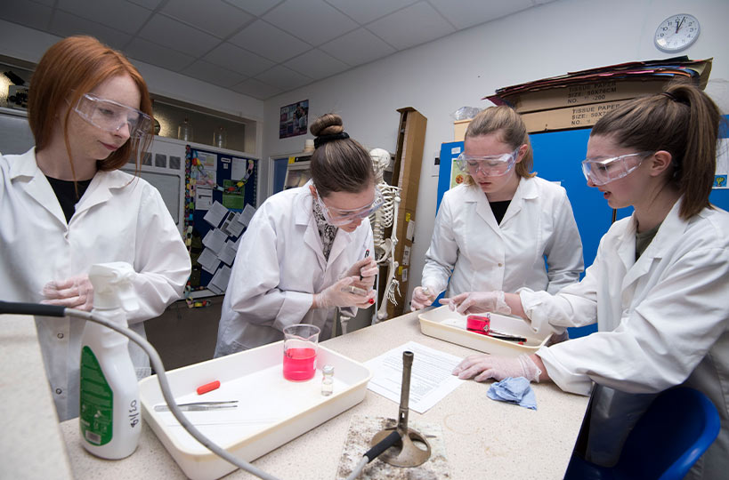 Complete practical sessions with friends, blending fun and learning together. 