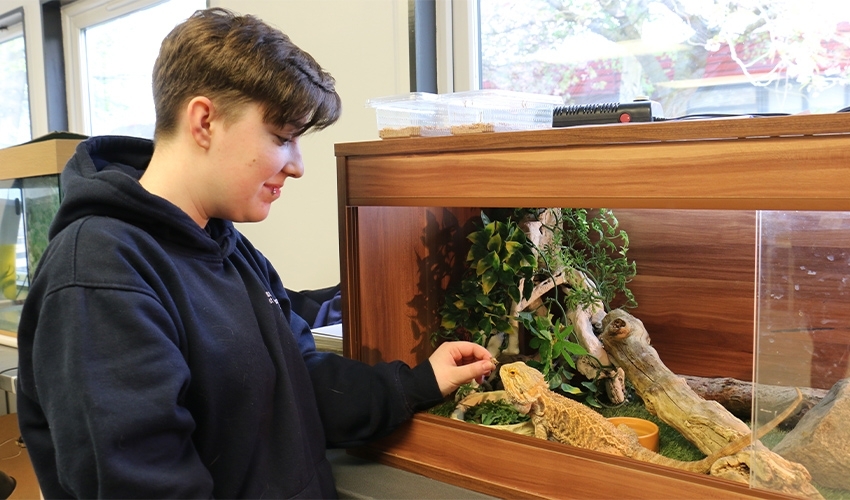 Your confidence will grow quickly by regularly working with different types of animals.